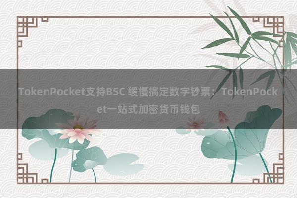 TokenPocket支持BSC 缓慢搞定数字钞票：TokenPocket一站式加密货币钱包